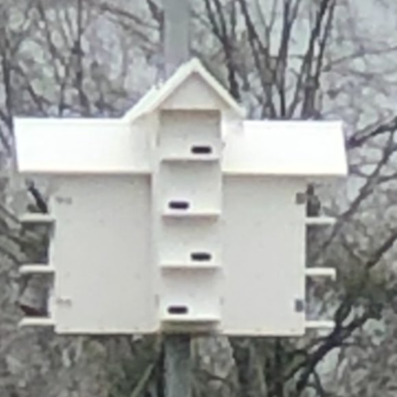 Troyer Owl & Starling Protection Adapter Plates Conely II Entrance - Picture 2 of 7